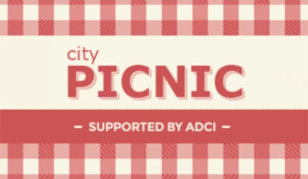 City picnic